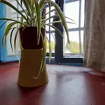 Slavija Ubytování v soukromí *