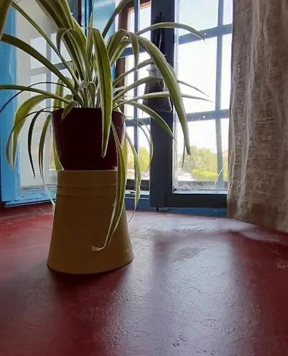 Slavija Accommodatie bij particulieren *